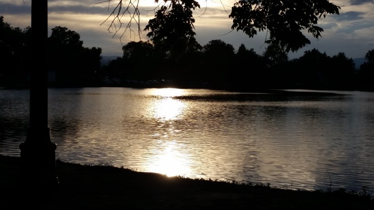 pond at evening